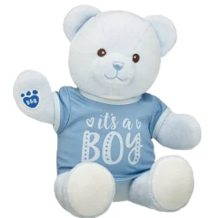 Baby Blue Teddy Bear "It's a Boy" Gift Set