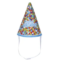 Birthday Party Hat