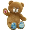 Birthday Treat Teddy Bear