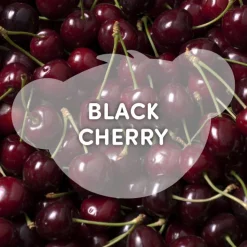 Black Cherry Scent