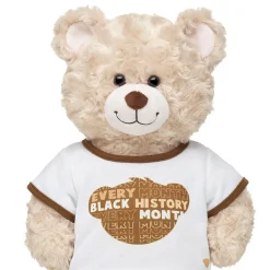"Black History Every Month" T-Shirt