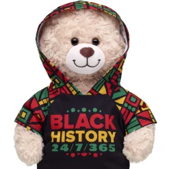 Black History Hoodie