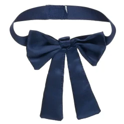 Blue Gifting Bow