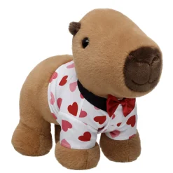 Capybara Stuffed Animal Valentine's Day Gift Set