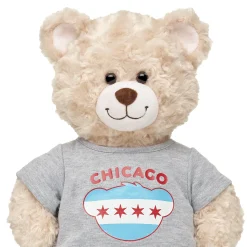 Chicago Flag T-Shirt