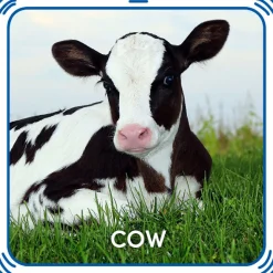 Cow Sound