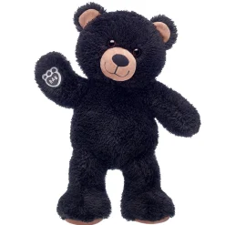Cuddly Black Teddy Bear
