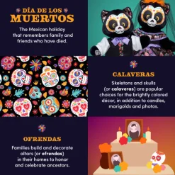 Día de los Muertos Cat Stuffed Animal Dress Gift Set