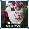“12 Days of Christmas”