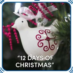 “12 Days of Christmas”