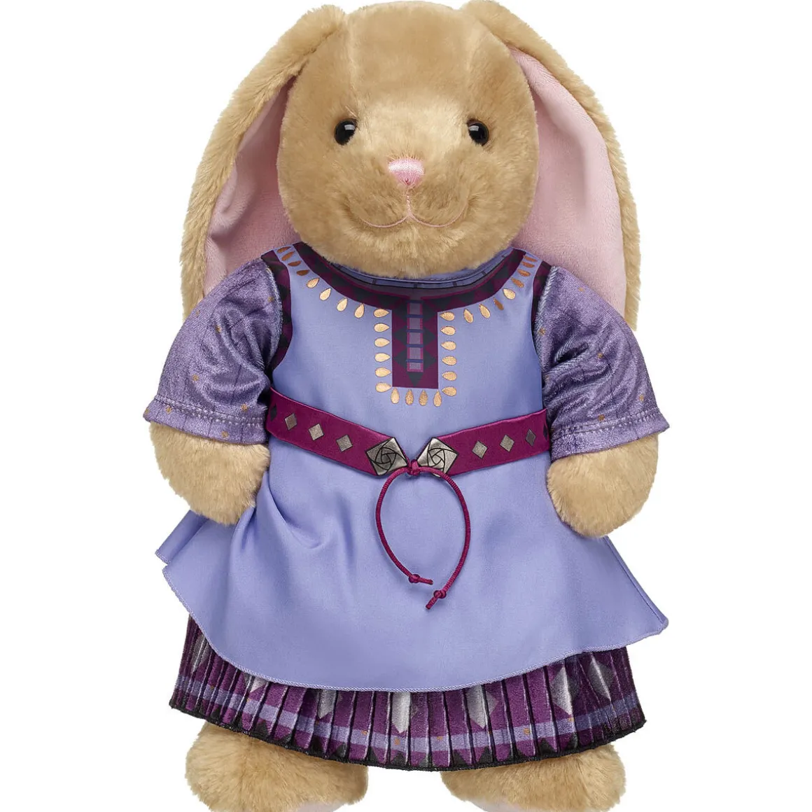 Disney Wish Asha Costume