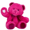 Fuchsia Gifting Teddy Bear