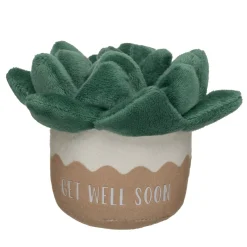 Get Well Soon Succulent Wristie