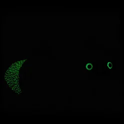 Glow-in-the-Dark Lightning Bug Stuffed Animal