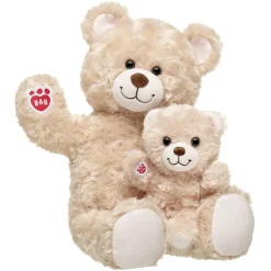 Happy Hugs Teddy Bear & Build-A-Bear Mini Beans® Gift Set