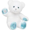 Hooray, It's Your Birthday! Teddy Bear