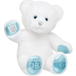 Hooray, It's Your Birthday! Teddy Bear
