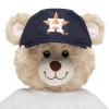 Houston Astros Hat