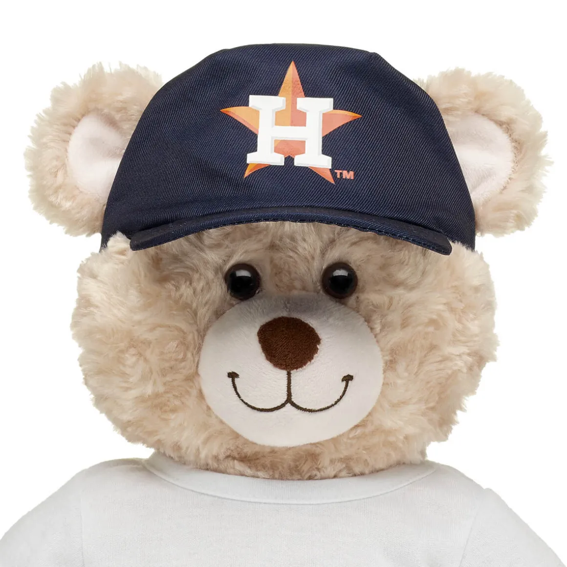 Houston Astros Hat