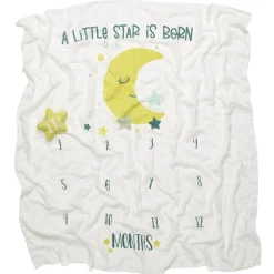 Monthly Milestone Baby Blanket