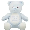 Personalized Embroidered Baby Blue Teddy Bear