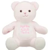 Personalized Embroidered Baby Pink Teddy Bear