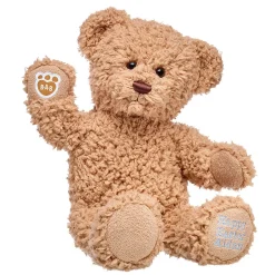 Personalized Embroidered Timeless Teddy Bear