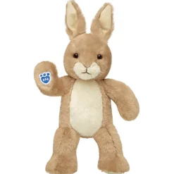 Peter Rabbit™ Plush