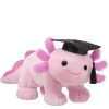 Pink Axolotl Stuffed Animal Graduation Gift Set