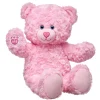 Pink Cuddles Teddy Bear