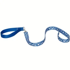 Promise Pets™ Blue Leash