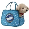 Promise Pets™ Teal Pet Carrier