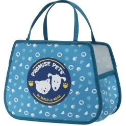 Promise Pets™ Teal Pet Carrier