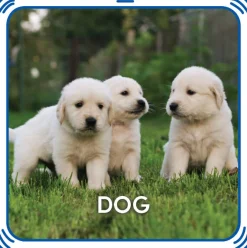 Puppy 5-in-1 Sound