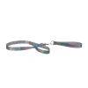 Rainbow Sparkle Leash & Collar 2 pc.
