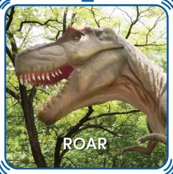 Roar 5-in-1 Sound