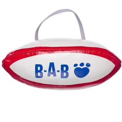 Rugby Ball