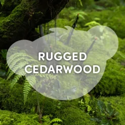 Rugged Cedarwood Scent