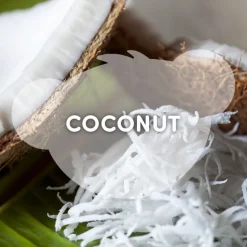 SCENTiments™ Coconut Scent
