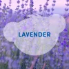 SCENTiments™ Lavender Scent