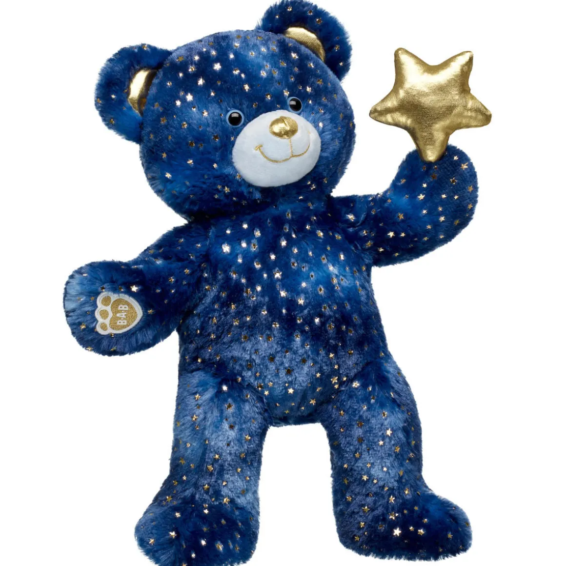 Star Wishes Teddy Bear