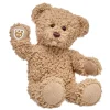 Timeless Teddy Bear