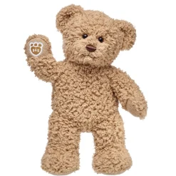 Timeless Teddy Bear