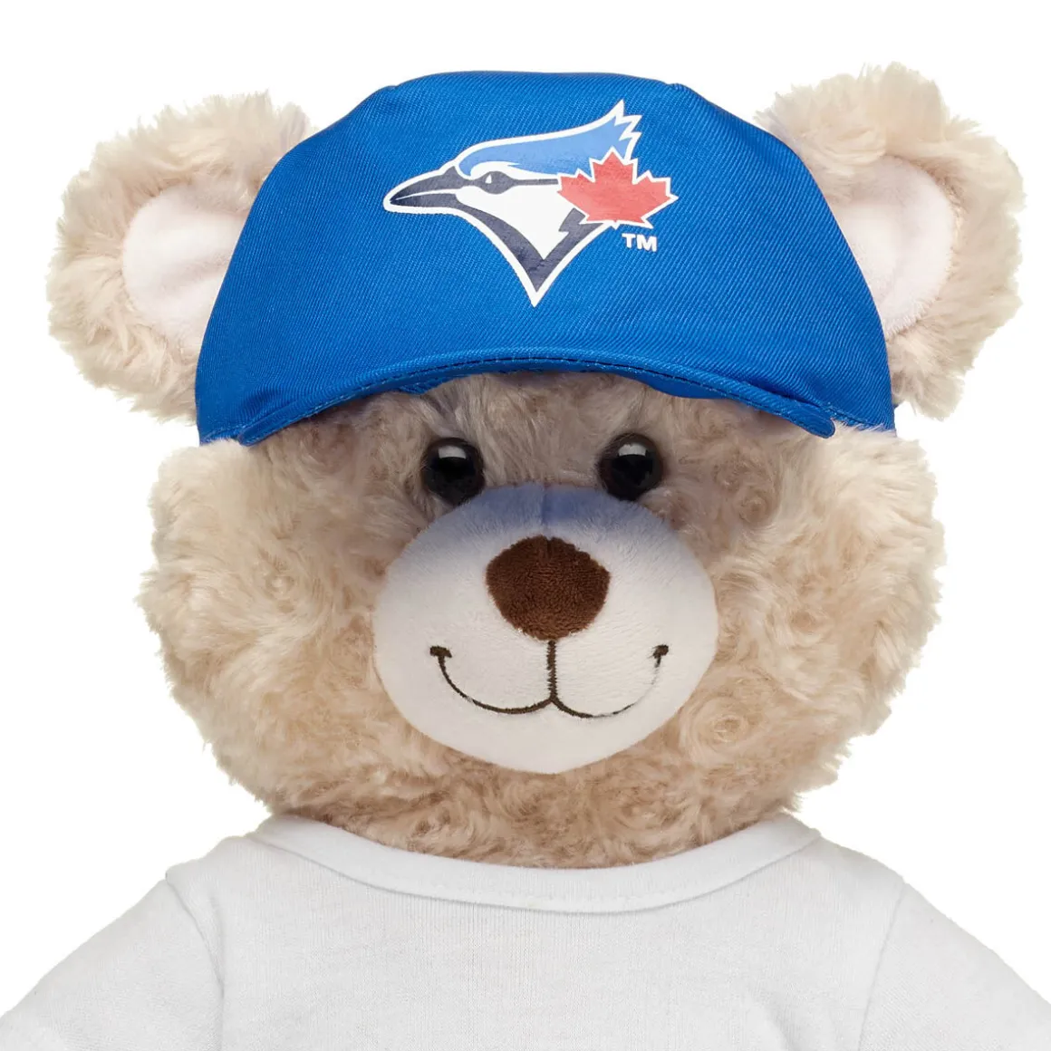 Toronto Blue Jays Hat
