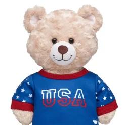 USA Sweatshirt