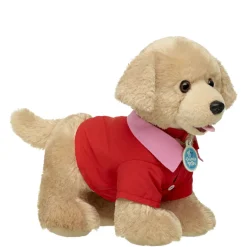 Valentine's Day Shirt