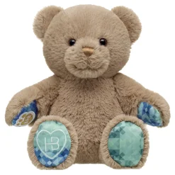 Well Wishes Teddy Bear