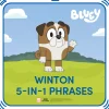 Winton 5-in-1 Phrases